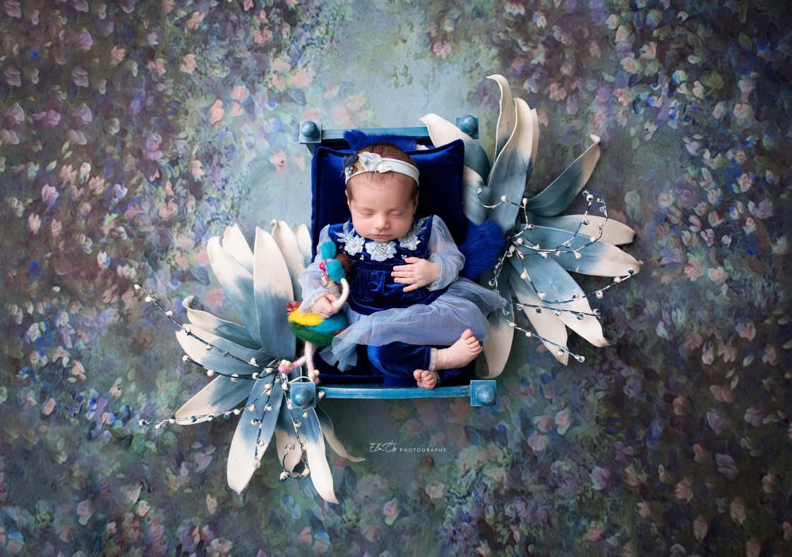 Ela_Öz  Photography 