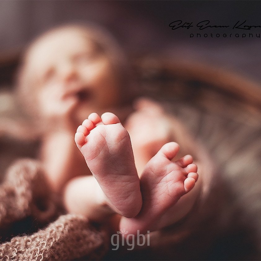 Elif Ecem Köysüren Photography