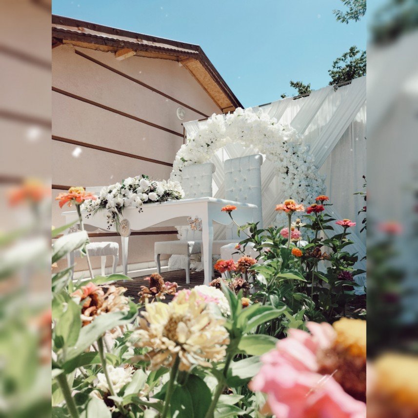 Elizance Organizasyon 