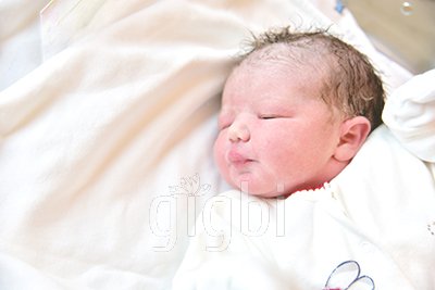 Big Dreamers Photography