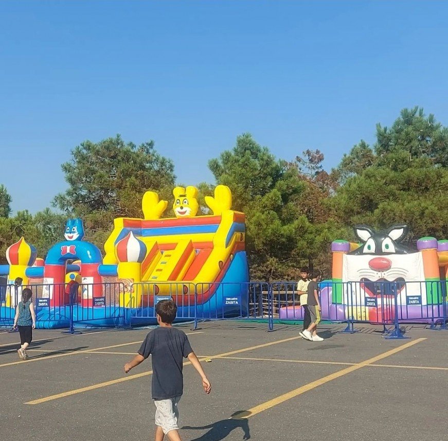 Emotion Organizasyon