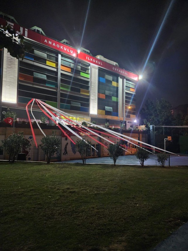 Emotion Organizasyon