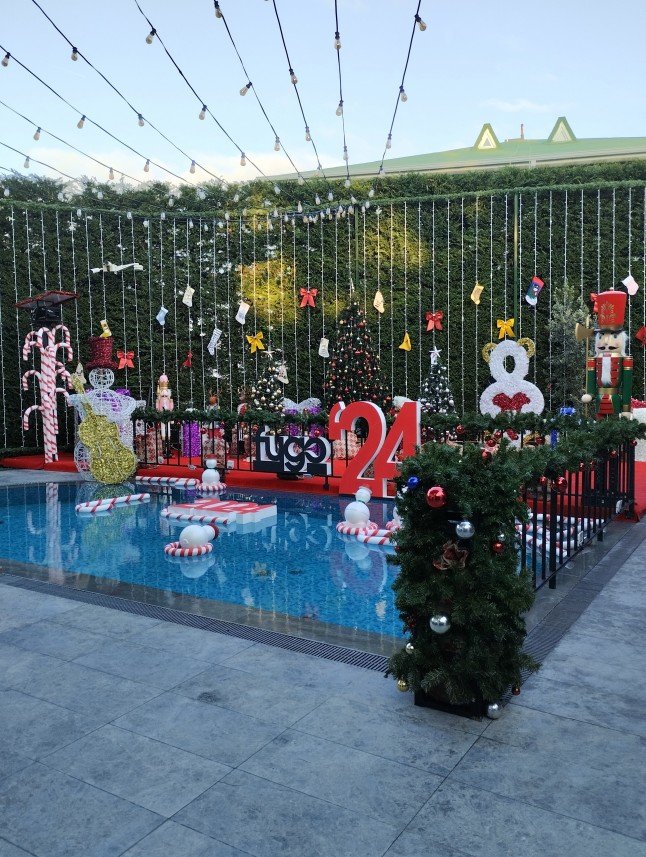 Emotion Organizasyon