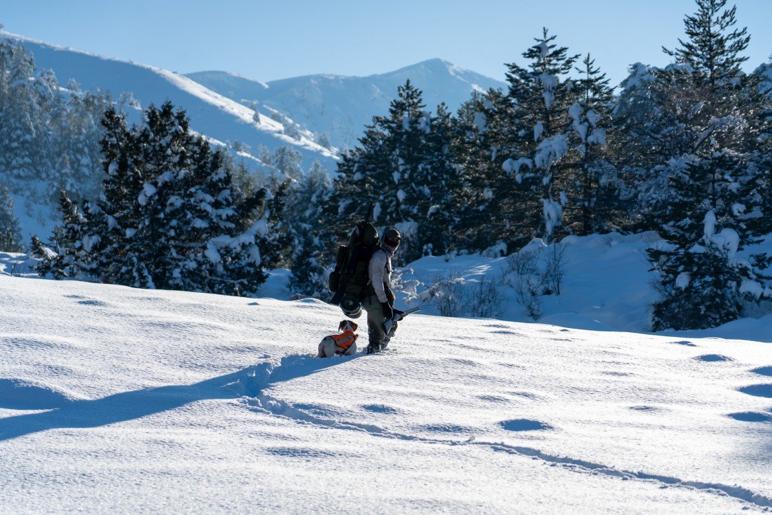 Enes Faruk Malpınar