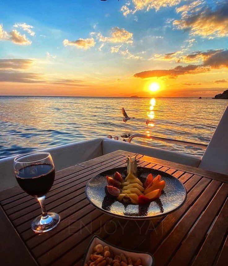 Enjoy Yat & Organizasyon