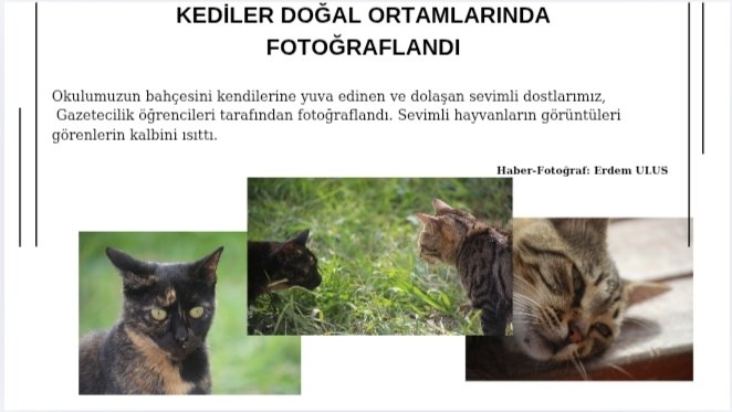 Erdem Ulus