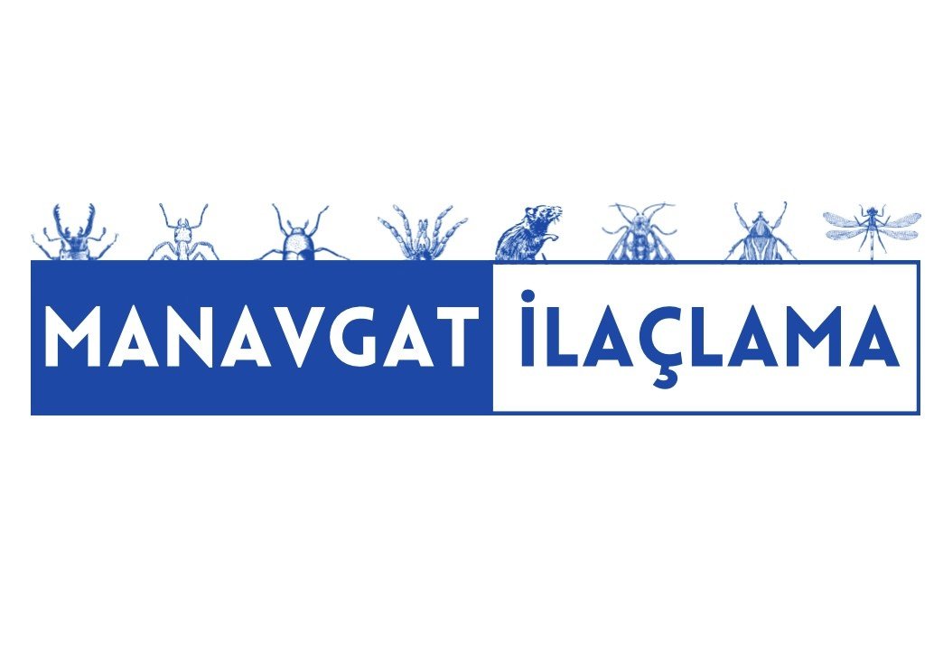 Erdi Görkem Yılmaz