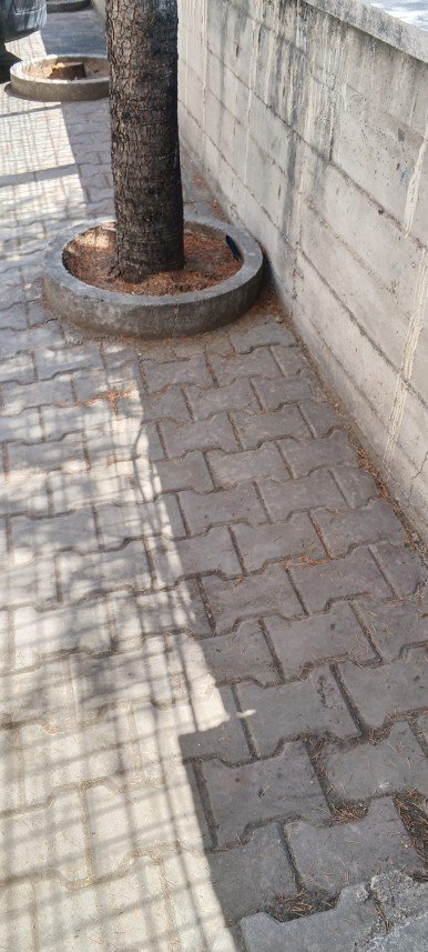 Erhan Candan