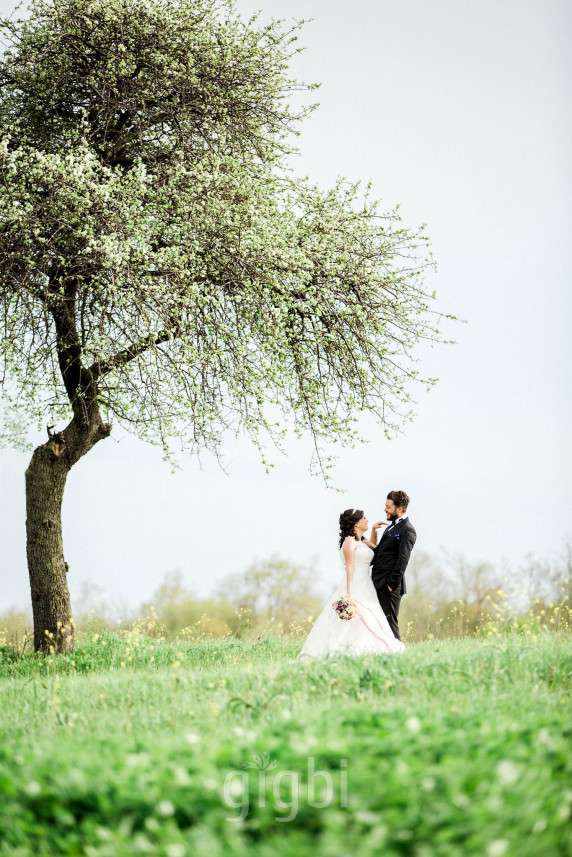 Ersin Çiçek Photography
