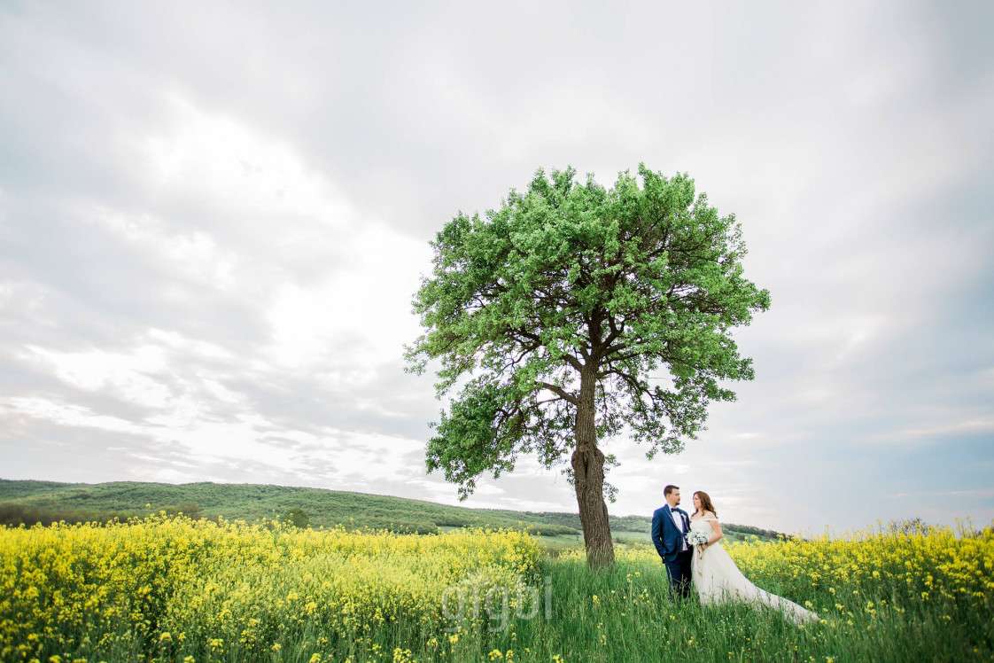 Ersin Çiçek Photography