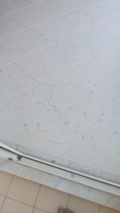 Ertuğrul  Çalışkan