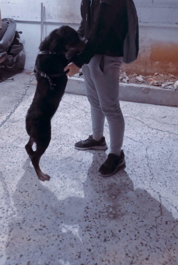 Ertuğrul Özoylumlu