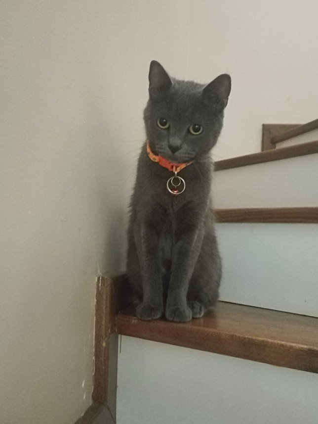 Esra Aktepe Ülgezen