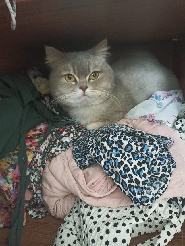 Esra Aktepe Ülgezen