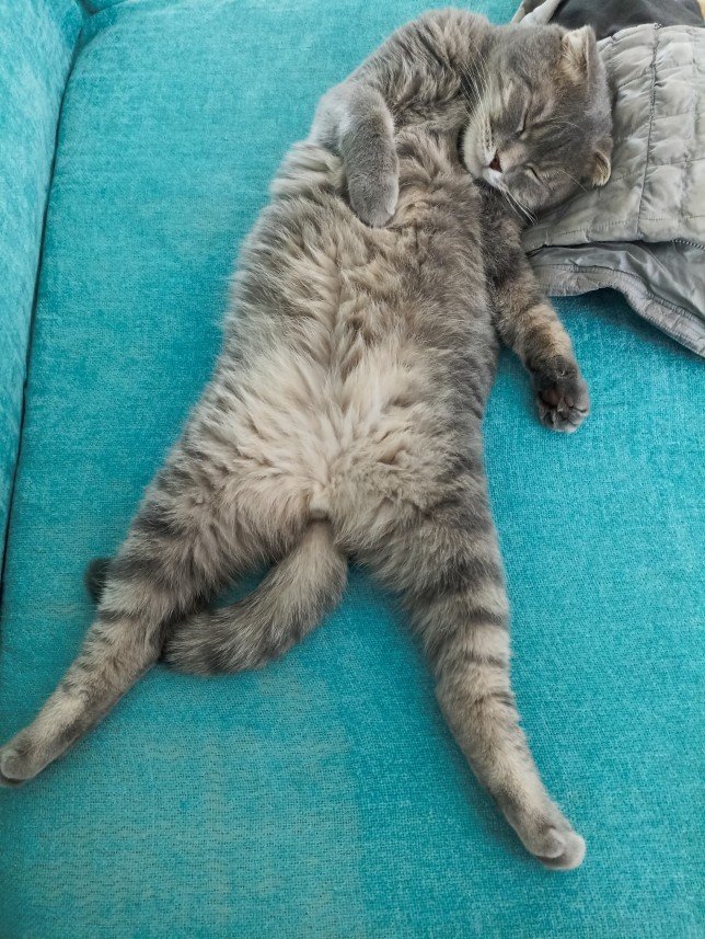 Esra Aktepe Ülgezen