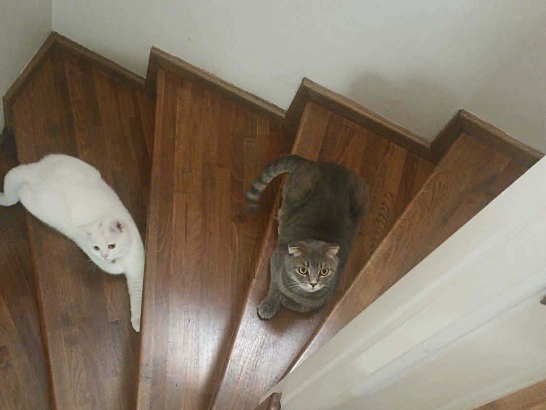 Esra Aktepe Ülgezen