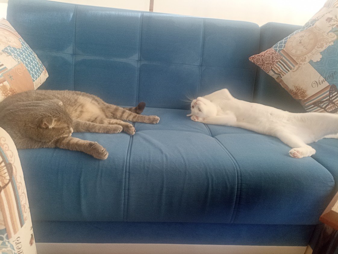 Esra Aktepe Ülgezen