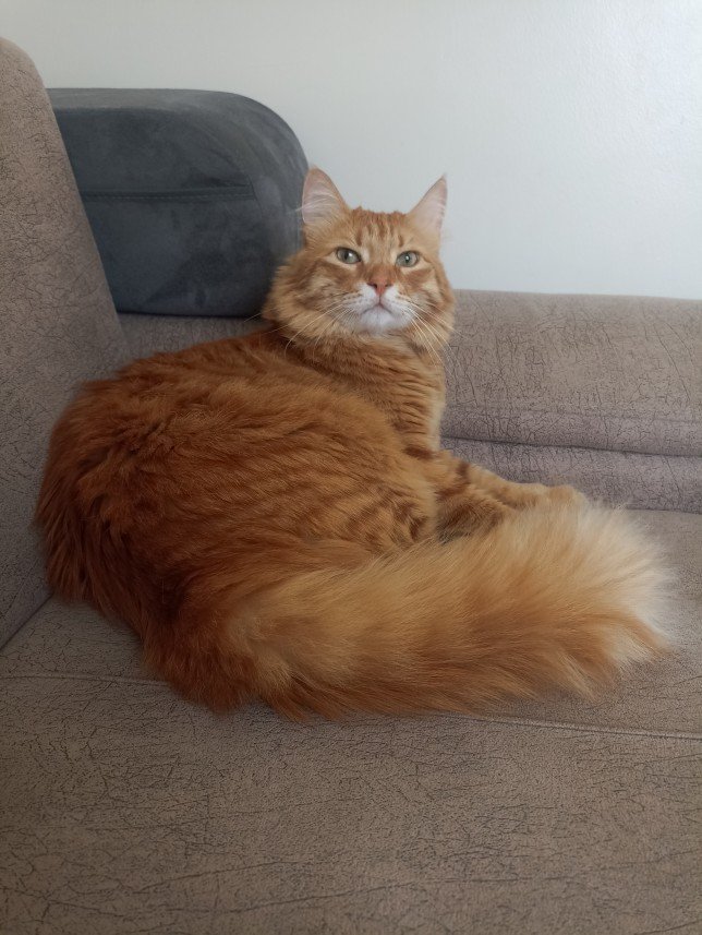 Esra Aktepe Ülgezen