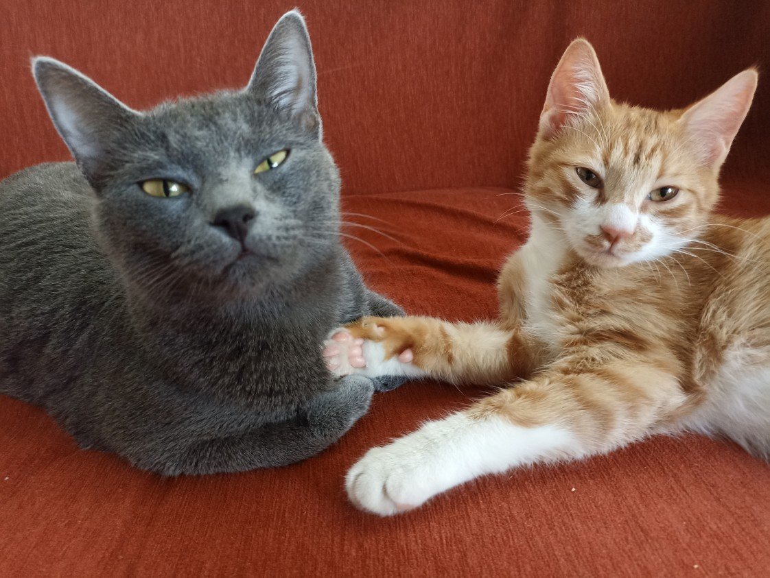 Esra Aktepe Ülgezen