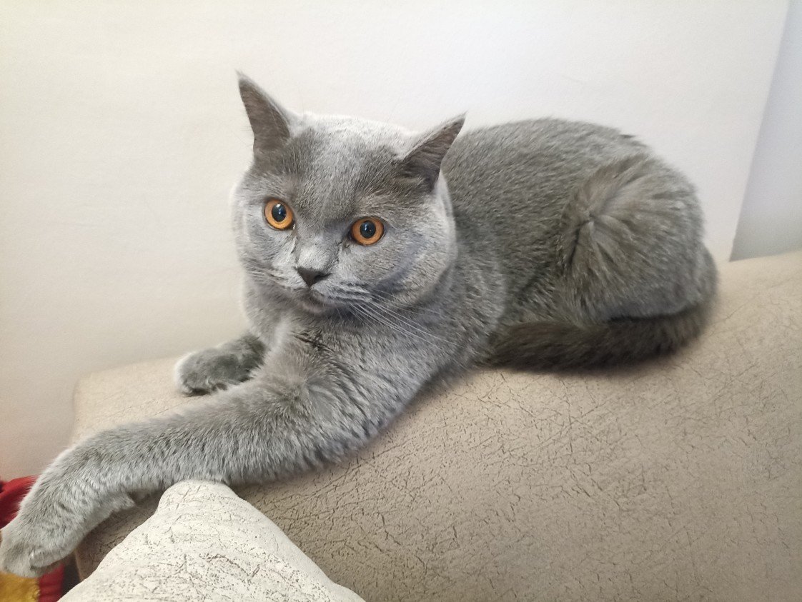 Esra Aktepe Ülgezen