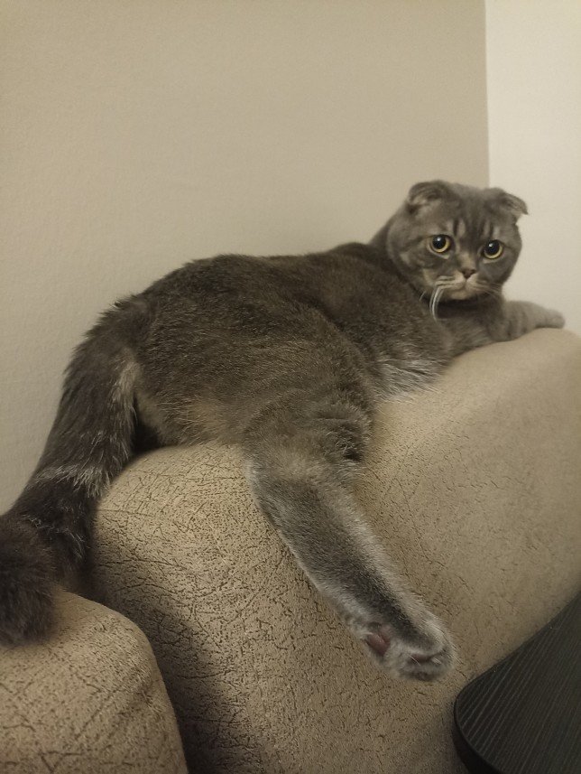 Esra Aktepe Ülgezen