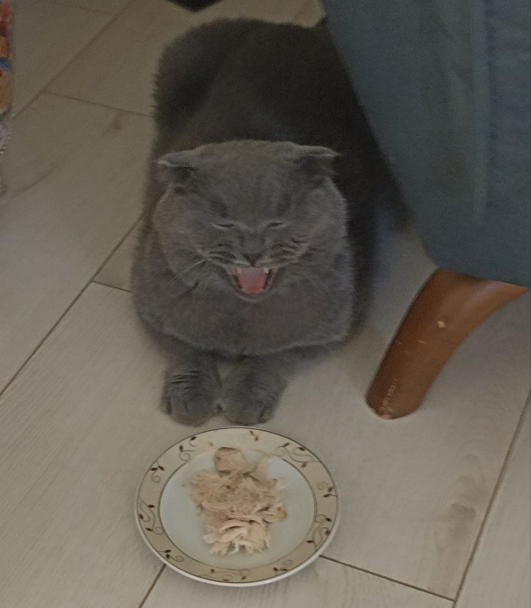 Esra Aktepe Ülgezen