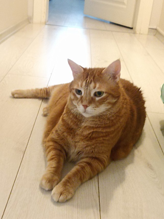 Esra Aktepe Ülgezen