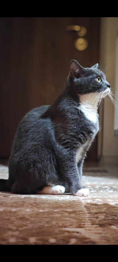 Esra Aktepe Ülgezen