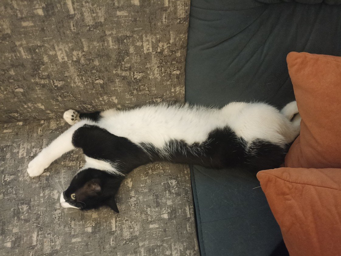 Esra Aktepe Ülgezen