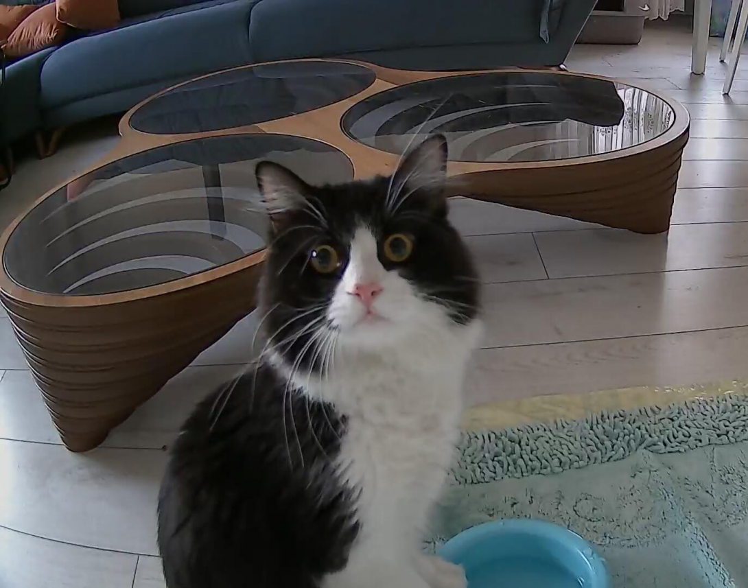 Esra Aktepe Ülgezen