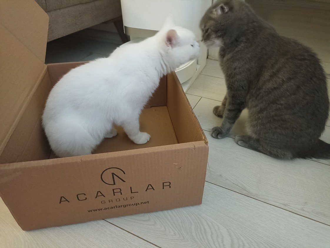 Esra Aktepe Ülgezen