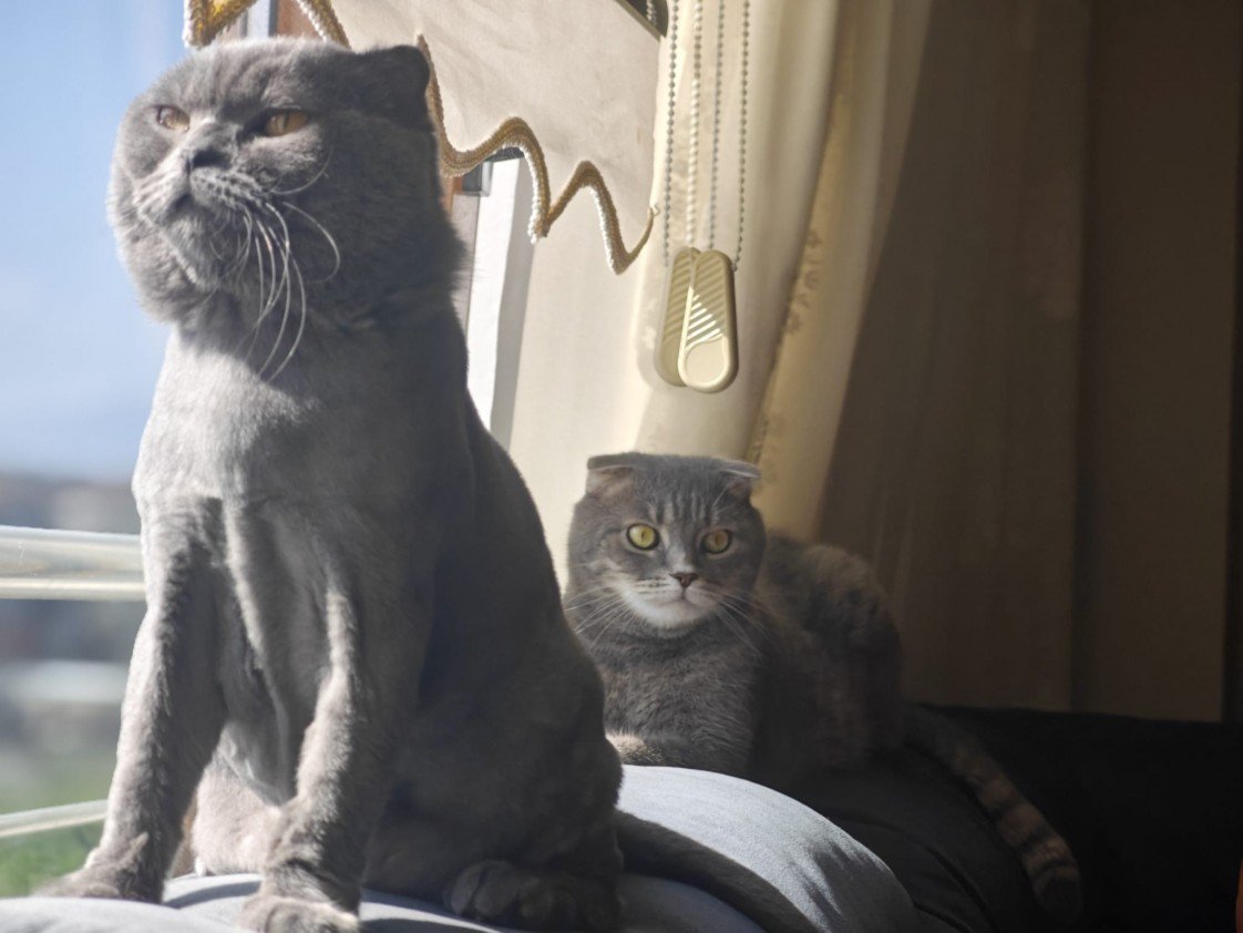 Esra Aktepe Ülgezen