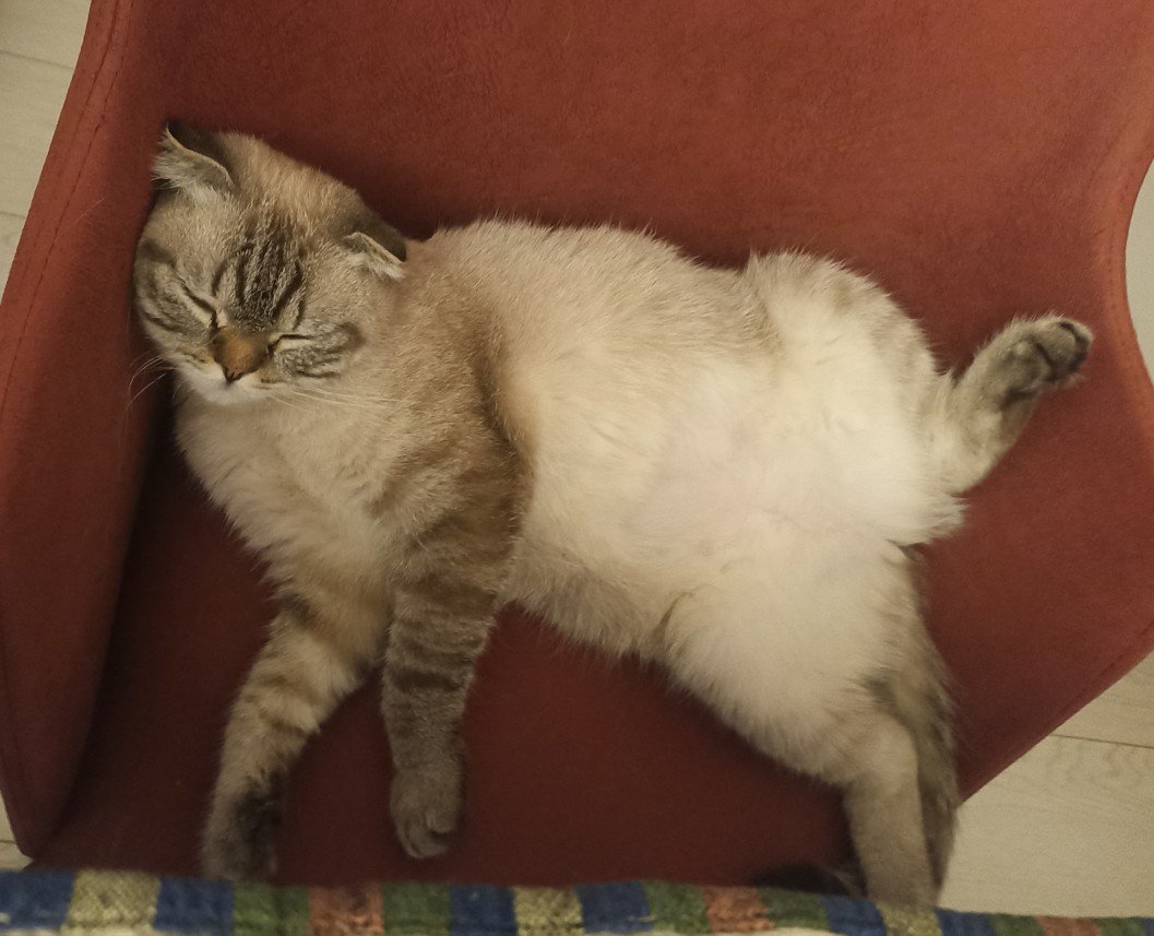 Esra Aktepe Ülgezen