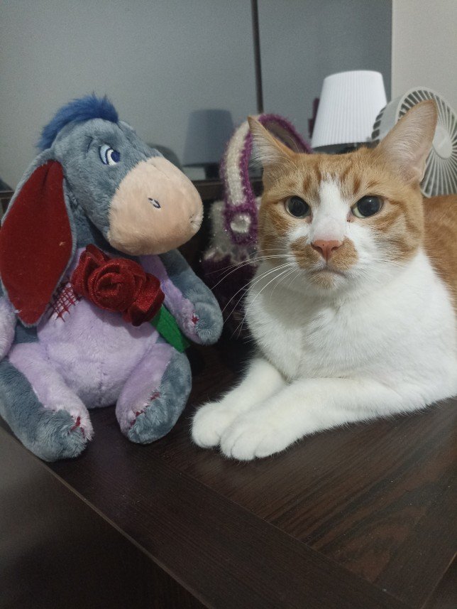 Esra Aktepe Ülgezen