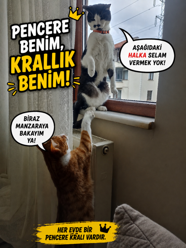 Esra Aktepe Ülgezen