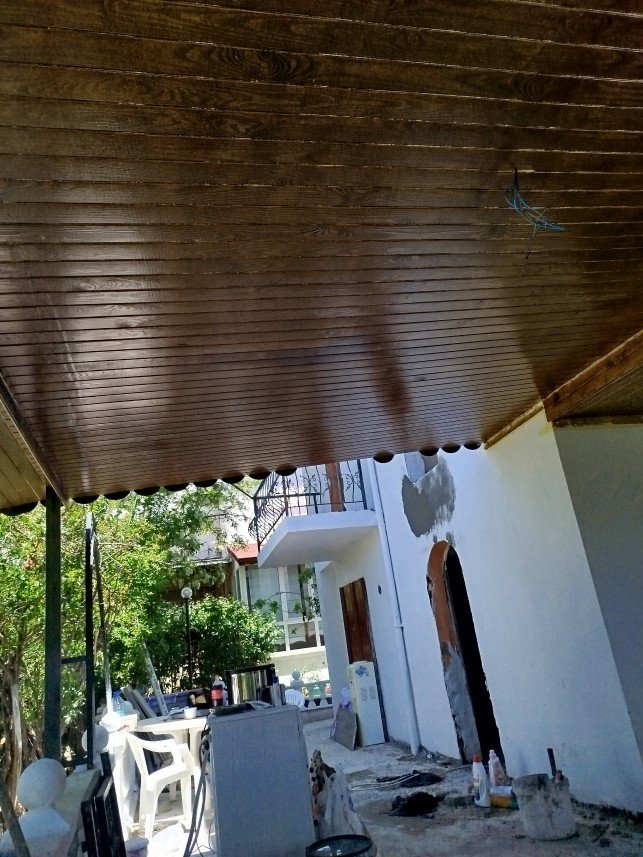 Evren Çelik