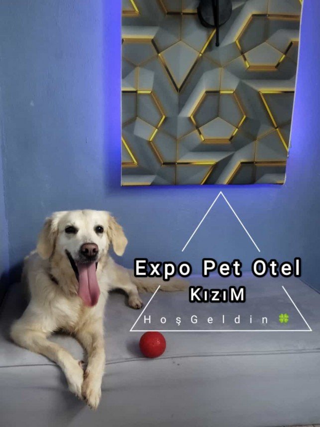 ExPo Pet Otel