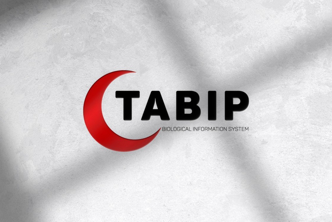 Eylül Zehra Akcaoğlu