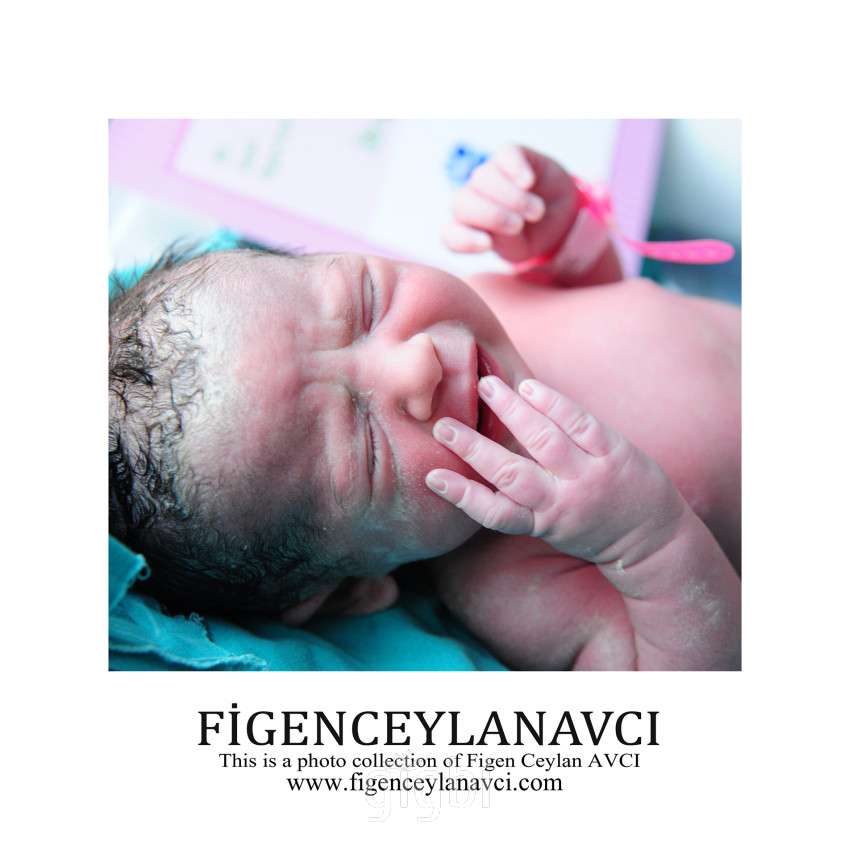 Figen Ceylan Avcı