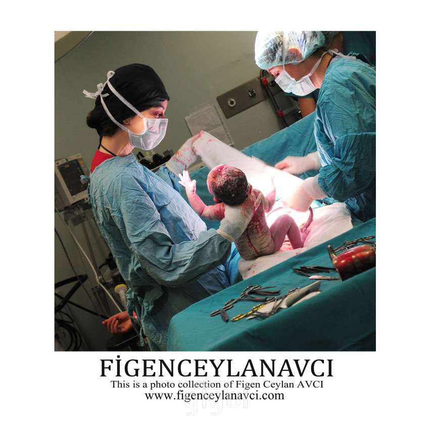 Figen Ceylan Avcı