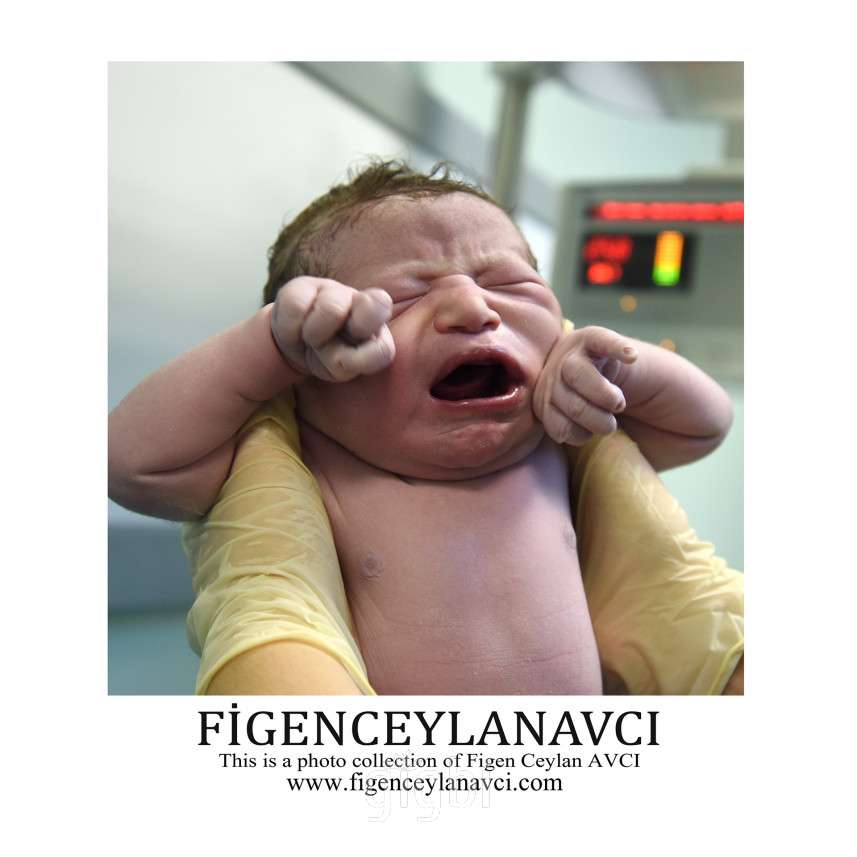 Figen Ceylan Avcı
