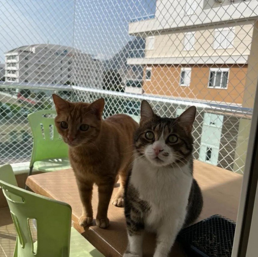 File Akgün Güvenlik Filesi