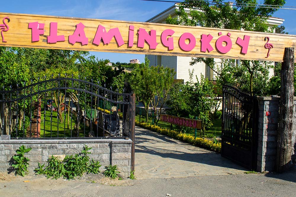 Flamingo Köy