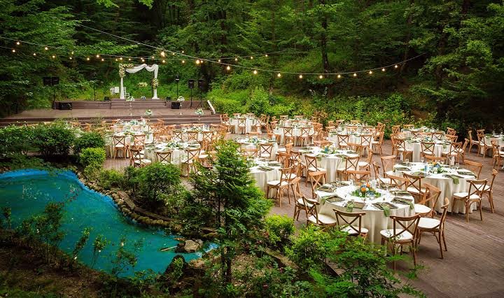 Glorize Organization 