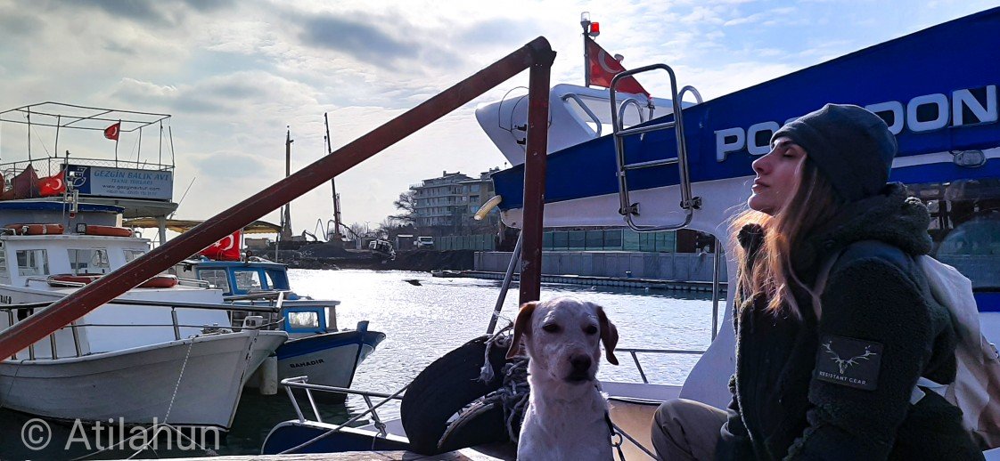 Atila Gökberk Köksal