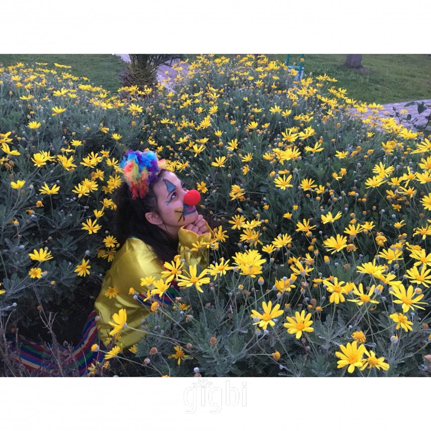 Gökkuşağı Palyaço 