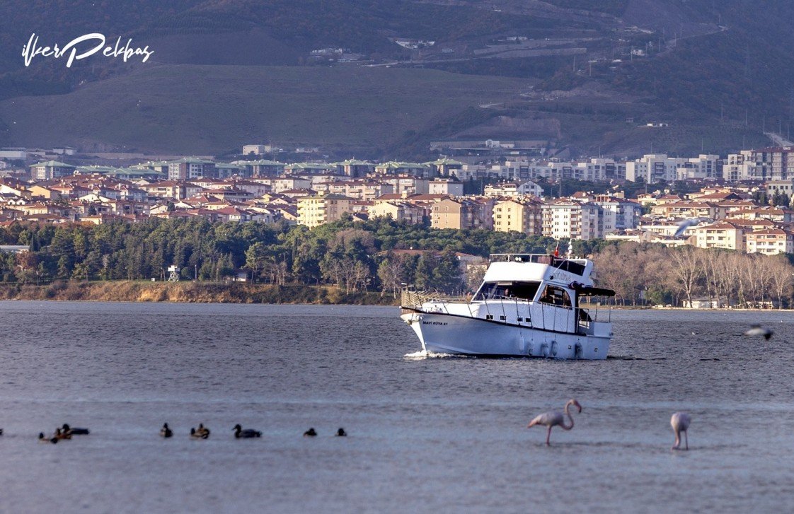 Mavi Rüya & Beyaz Masal