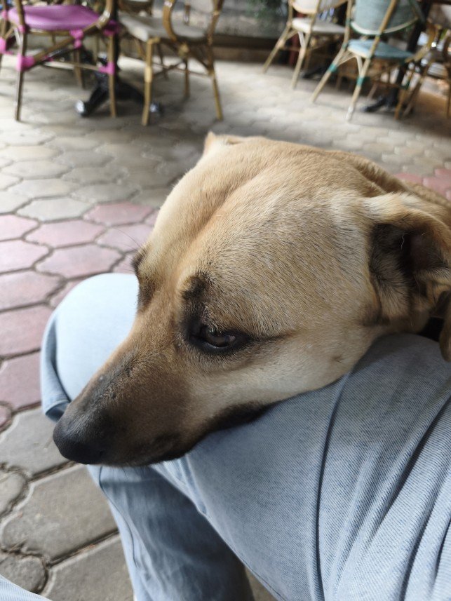 Gözde Kahraman