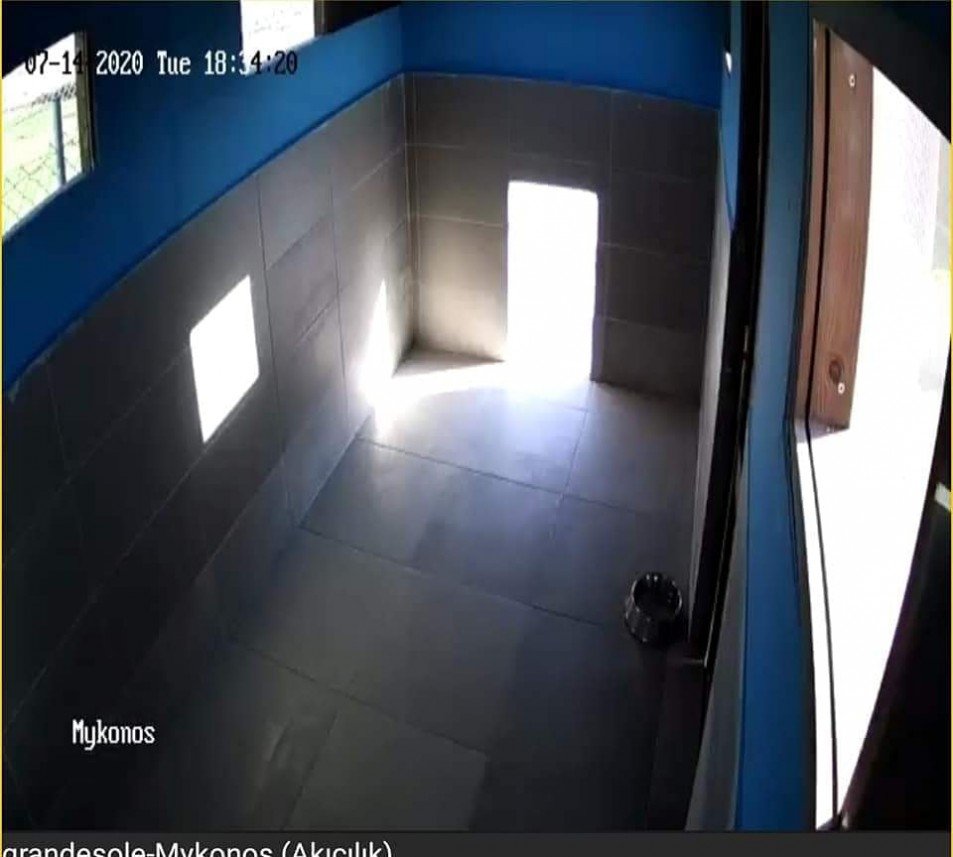 Grande Sole Dog Resort