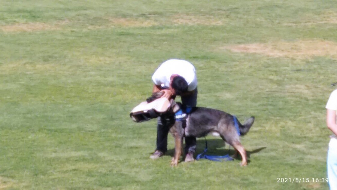 Grande Sole Dog Resort